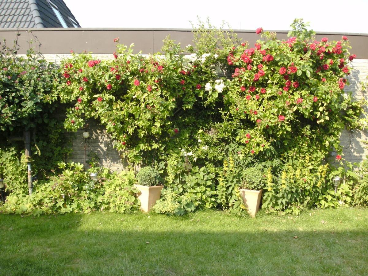 Ferienwohnung Haus Mit Lilie Und Rose Westerdeichstrich Exterior foto
